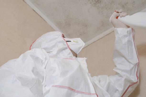 Best Industrial Mold Remediation in Folsom, NJ