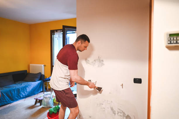 Best Mold Remediation for Specific Building Types in Folsom, NJ